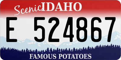 ID license plate E524867