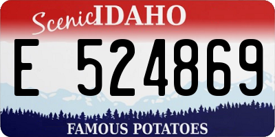 ID license plate E524869