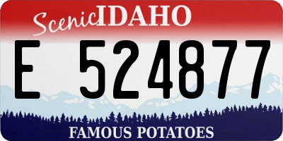 ID license plate E524877