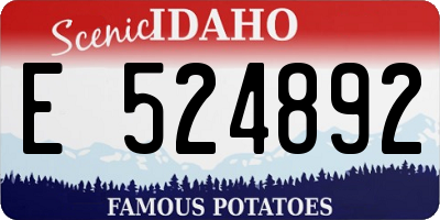 ID license plate E524892