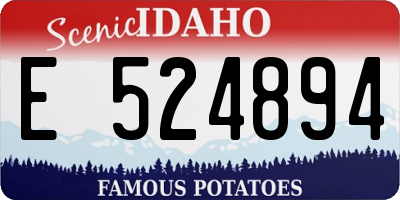 ID license plate E524894