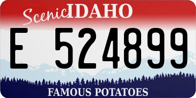 ID license plate E524899