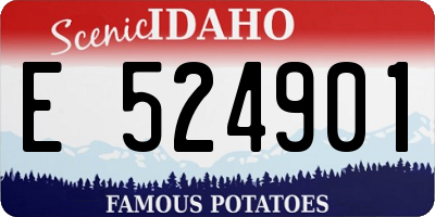 ID license plate E524901