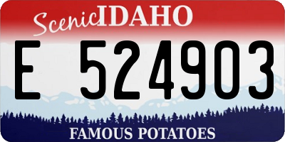 ID license plate E524903