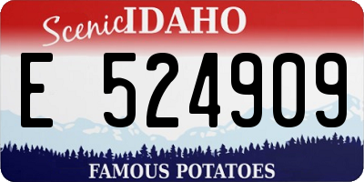 ID license plate E524909