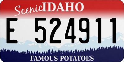 ID license plate E524911