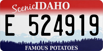ID license plate E524919