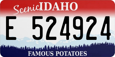 ID license plate E524924