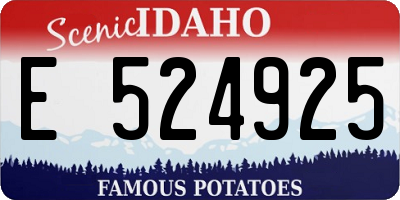 ID license plate E524925