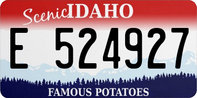 ID license plate E524927