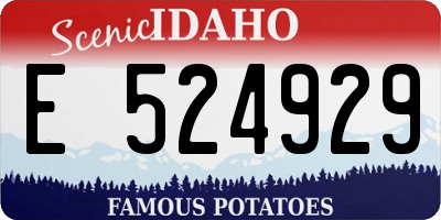 ID license plate E524929