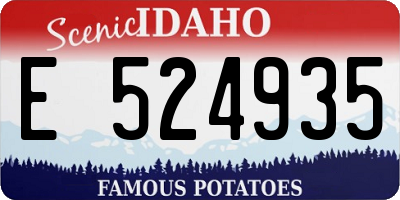 ID license plate E524935