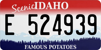 ID license plate E524939