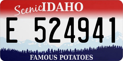 ID license plate E524941