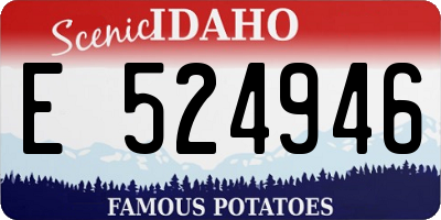 ID license plate E524946