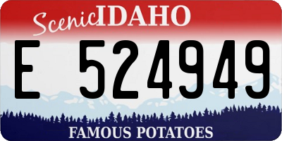 ID license plate E524949
