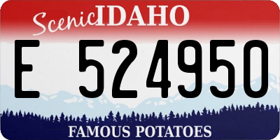 ID license plate E524950