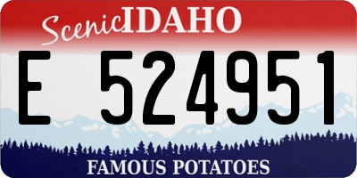ID license plate E524951