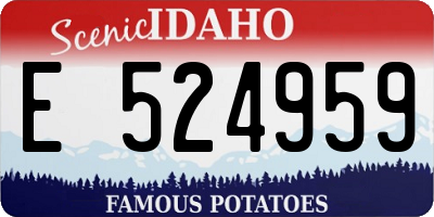 ID license plate E524959