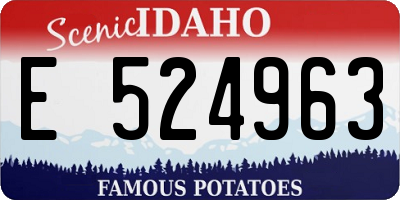 ID license plate E524963