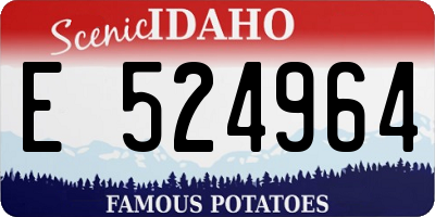 ID license plate E524964