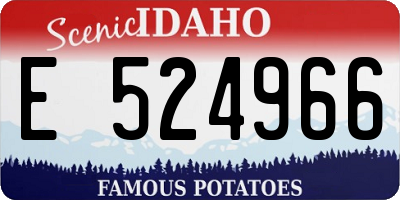 ID license plate E524966