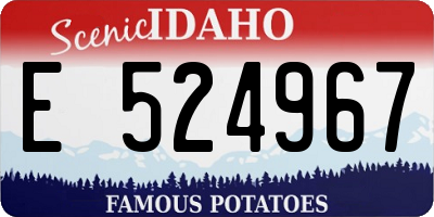 ID license plate E524967