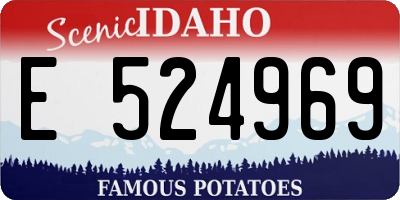 ID license plate E524969