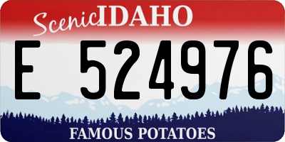 ID license plate E524976