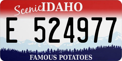 ID license plate E524977