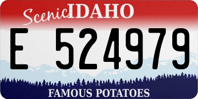 ID license plate E524979