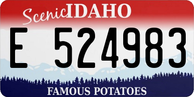 ID license plate E524983