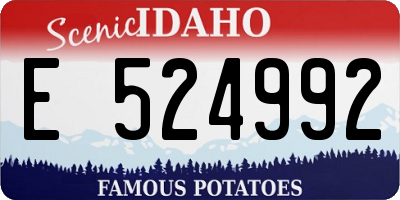 ID license plate E524992