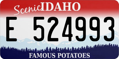 ID license plate E524993
