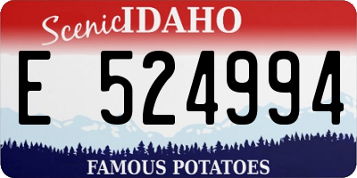 ID license plate E524994