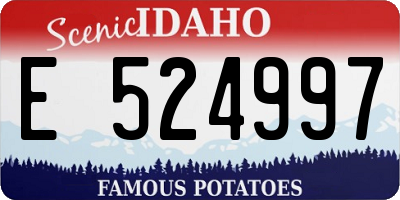 ID license plate E524997