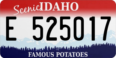 ID license plate E525017