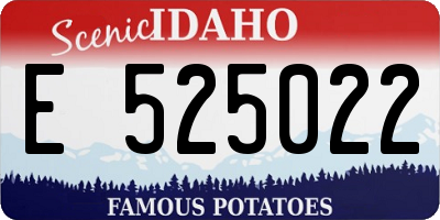 ID license plate E525022