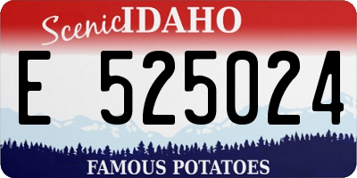 ID license plate E525024
