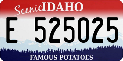 ID license plate E525025