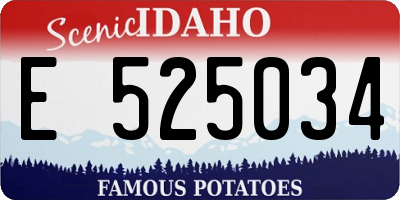 ID license plate E525034