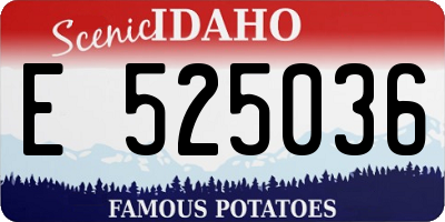 ID license plate E525036