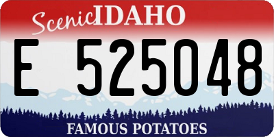ID license plate E525048
