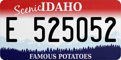 ID license plate E525052