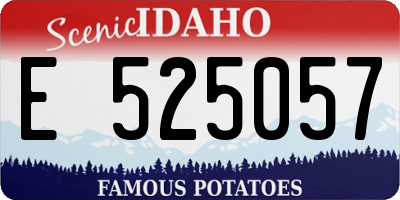 ID license plate E525057