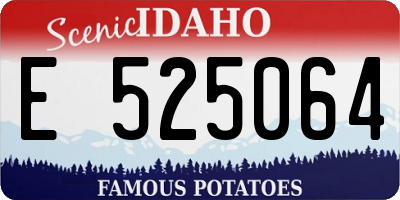 ID license plate E525064