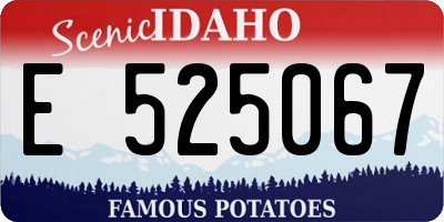 ID license plate E525067
