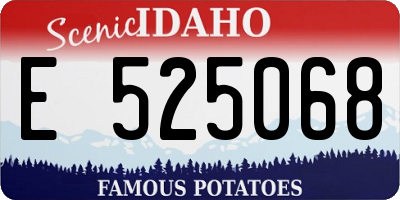 ID license plate E525068