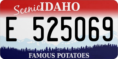 ID license plate E525069