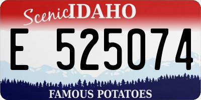 ID license plate E525074